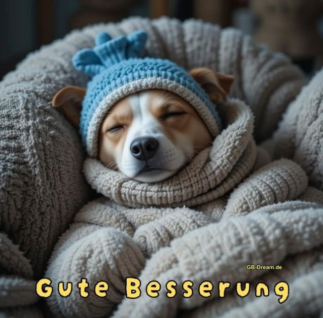 Gute Besserung.
