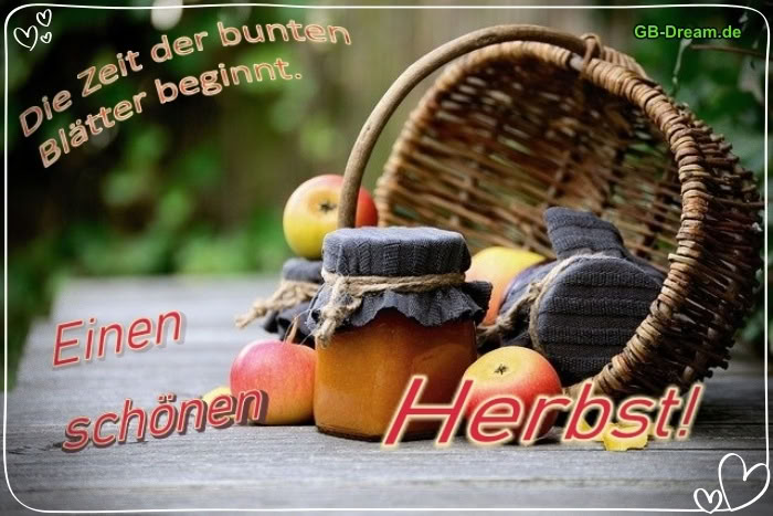 Die Zeit der bunten Blätter beginnt. Einen schönen Herbst!
